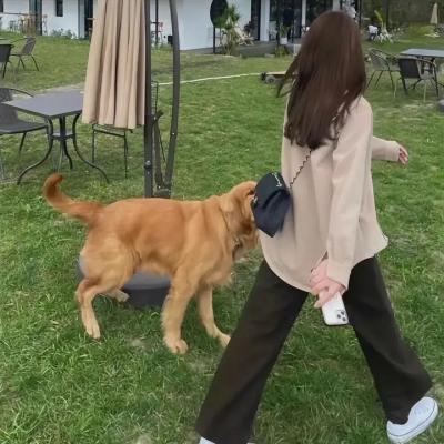 鱿鱼仔的乡土生活第十三季